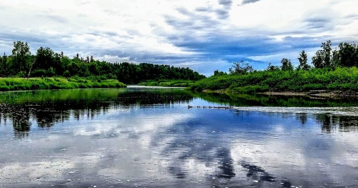 aj-krat-1920_612debdcde4c8-inbound4445925267945425394-alaska-willow-alaskaorg-photo-contest ► Sheila Monson