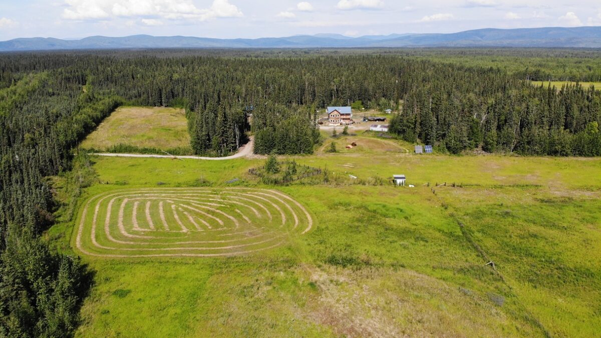 created by dji camera ► Sheila Monson